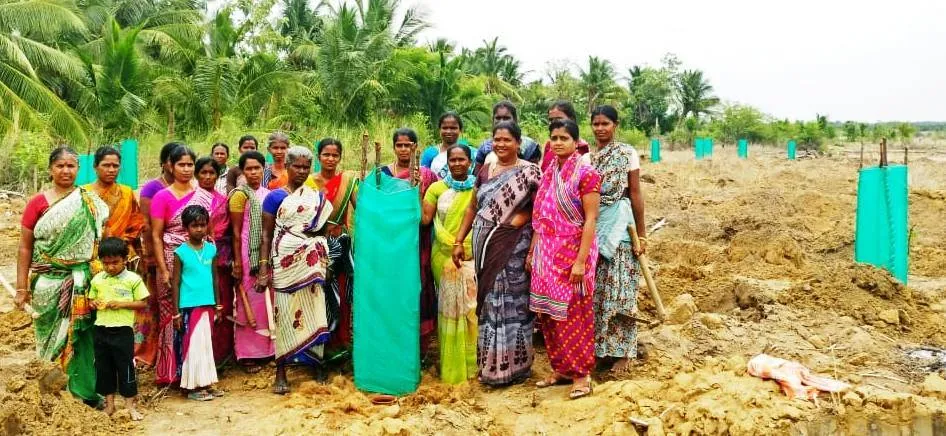  village women's who are Poured the water to grow the trees in pudukottai 